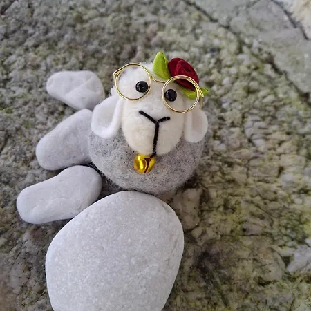 Soca 博维茨